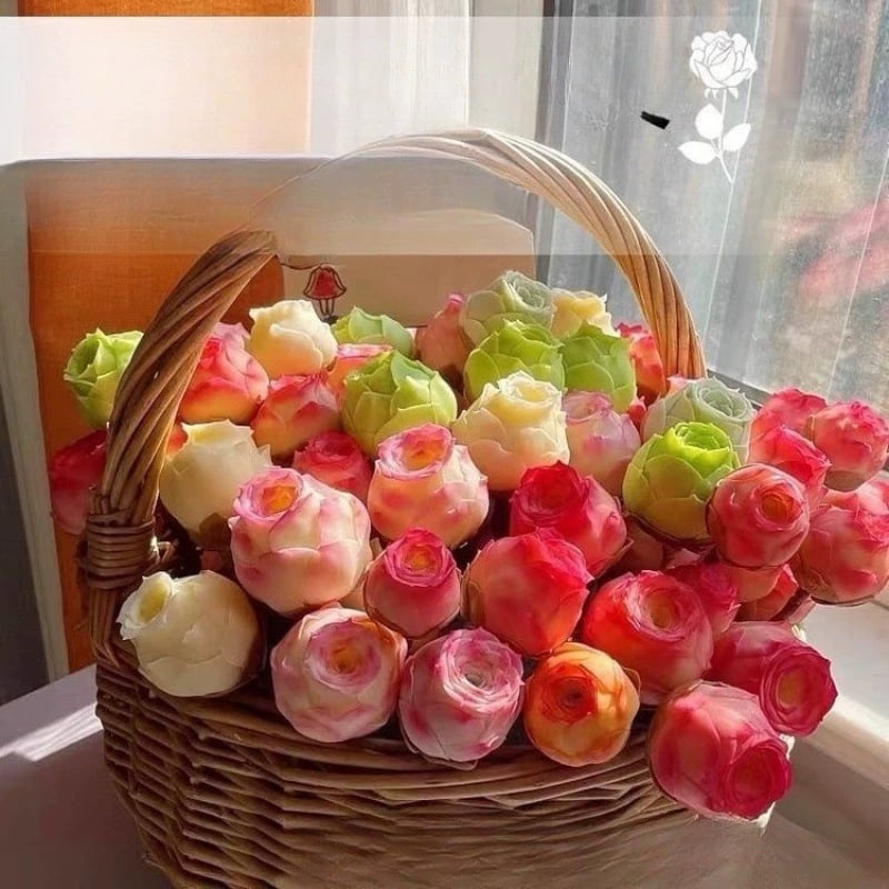 🌱🌹Mountain Rose: Beauty That Never Fades, Even for Newbie Blades!"🌺