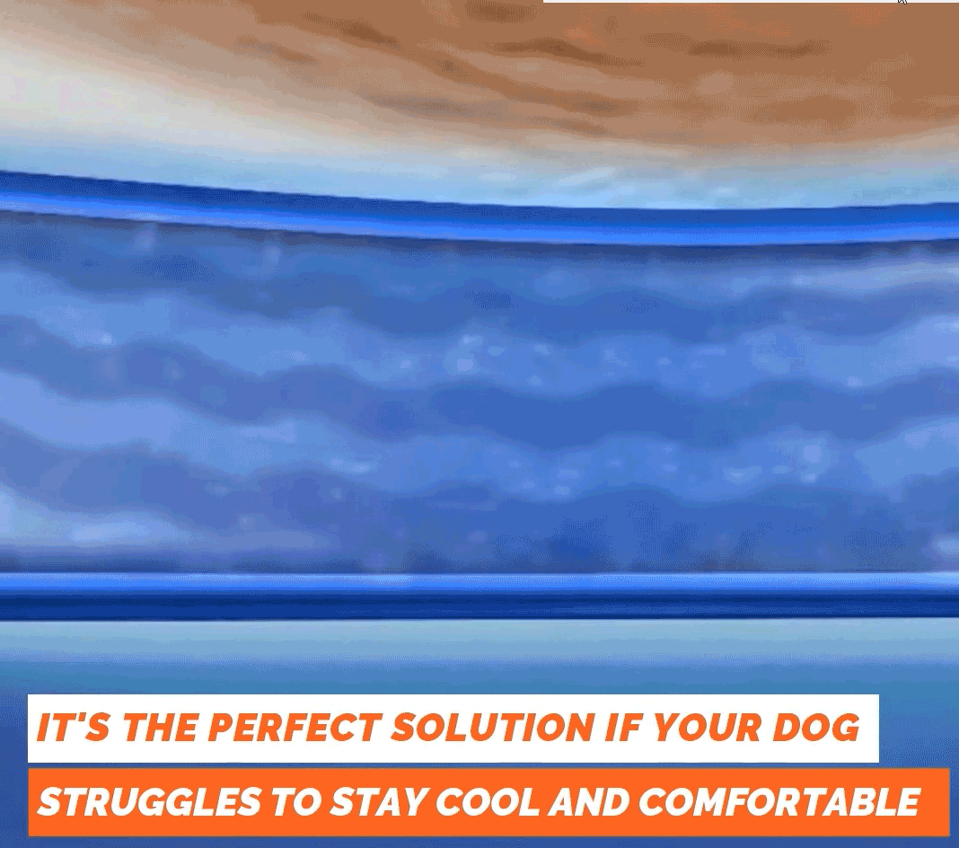 💥This Week's Special Offer 49% Off🧊Dog Cooling Mat (4x more effective)