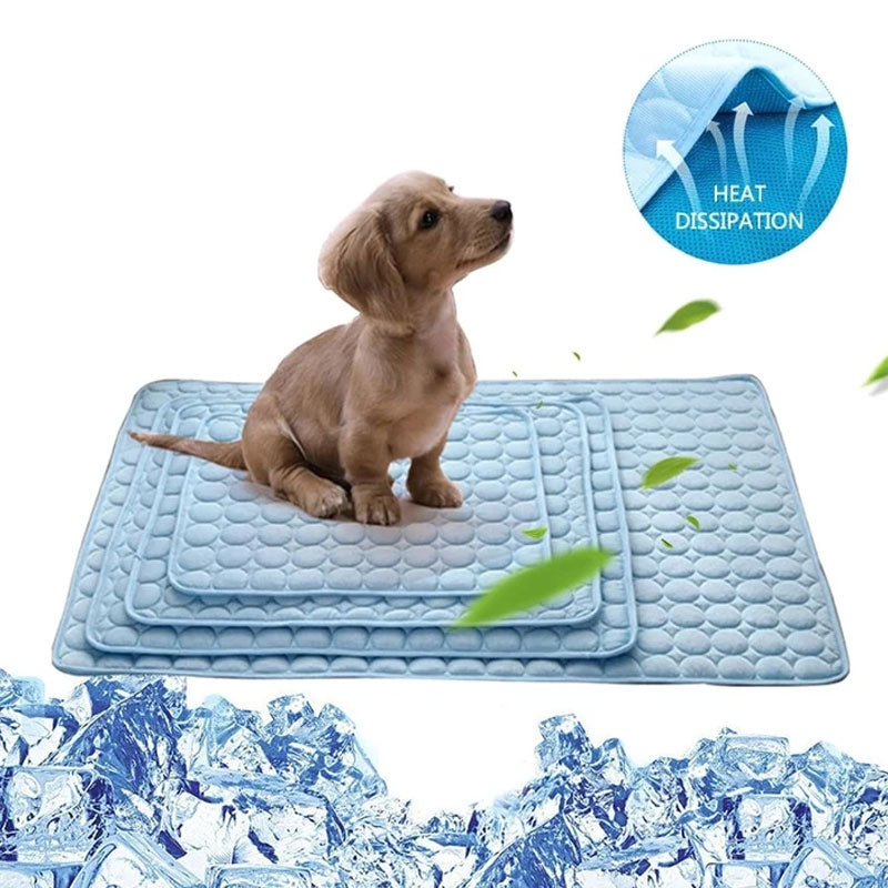 💥This Week's Special Offer 49% Off🧊Dog Cooling Mat (4x more effective)