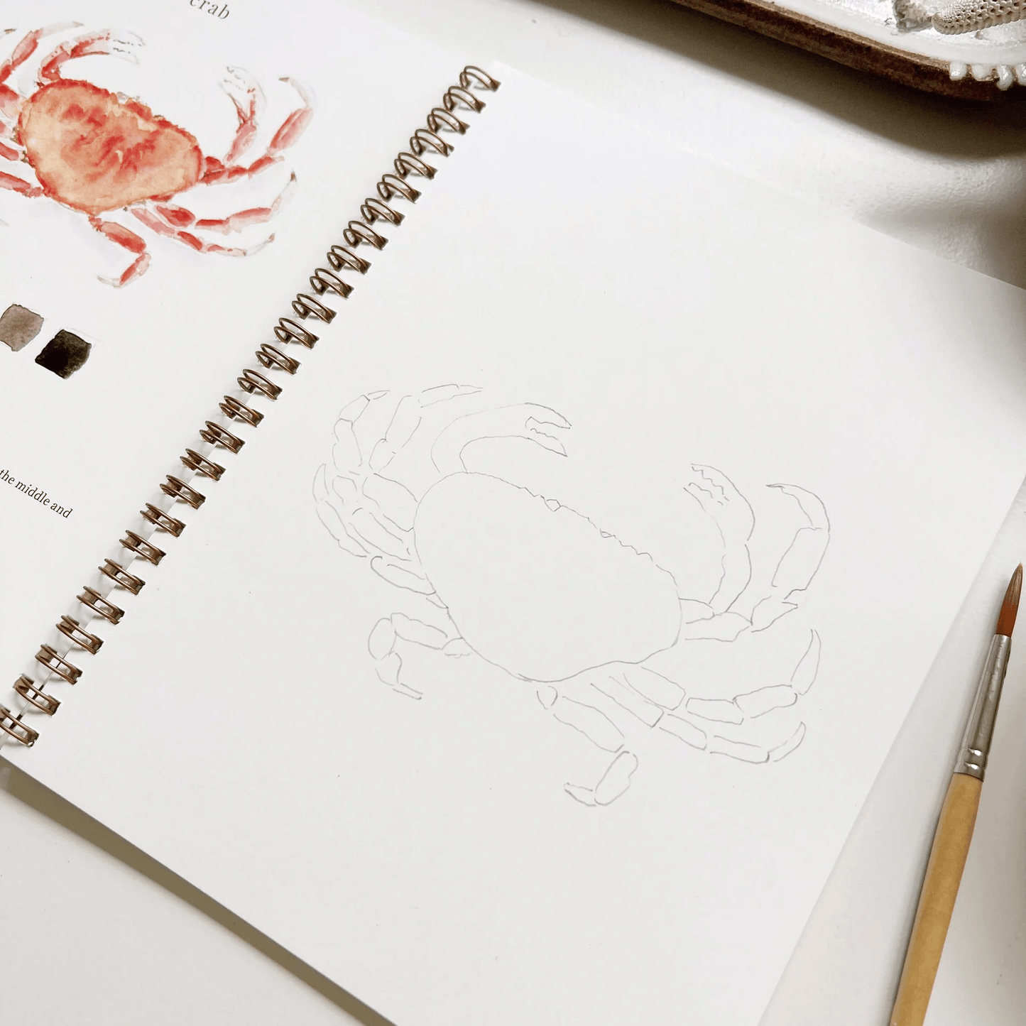 🔥Lente Korting🖼️ Aquarel Werkboek voor Nieuwe Kunstenaars