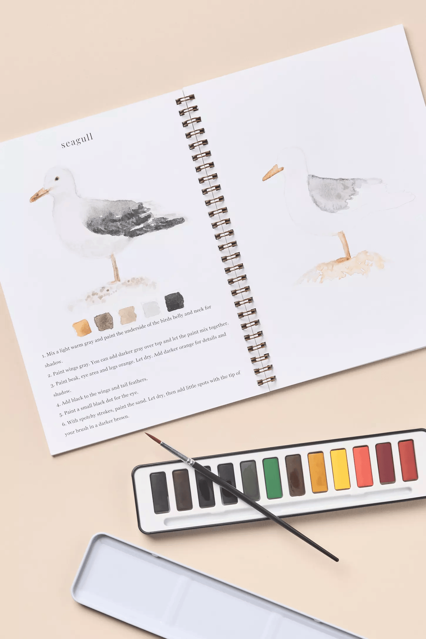 🔥Lente Korting🖼️ Aquarel Werkboek voor Nieuwe Kunstenaars