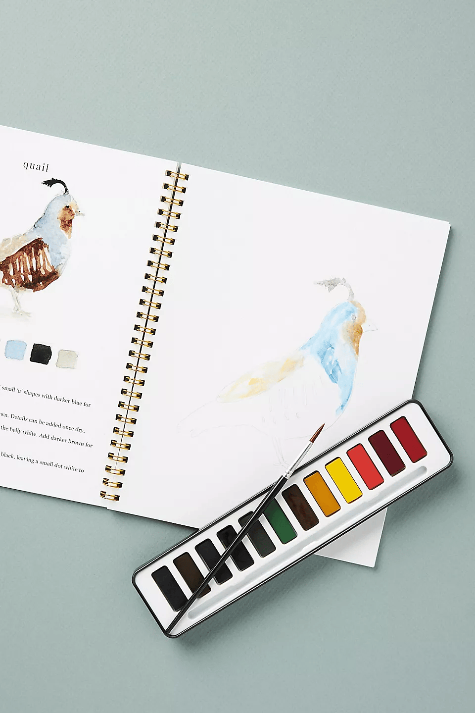 🔥Lente Korting🖼️ Aquarel Werkboek voor Nieuwe Kunstenaars
