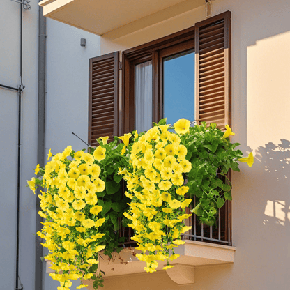 🌺Buy 4 get 15% off🌺UV-resistant Hanging Morning Glory