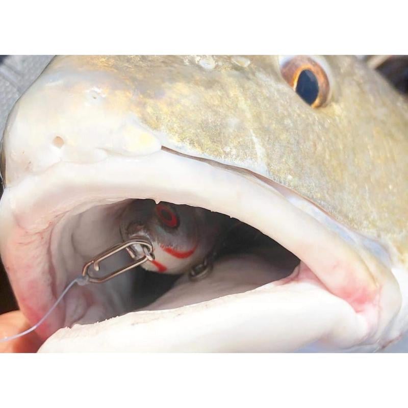 Topwater Speed Clips – Eenvoudig en Efficiënt Vissen