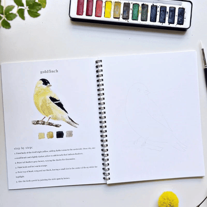 🔥Lente Korting🖼️ Aquarel Werkboek voor Nieuwe Kunstenaars