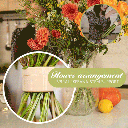 🔥gardening promotion🌙spiral ikebana stem holder