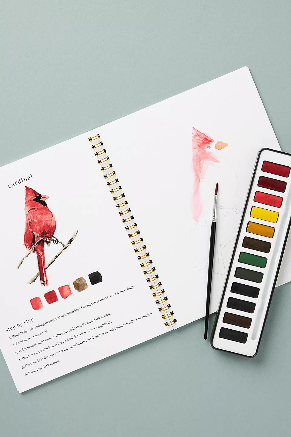 🔥Lente Korting🖼️ Aquarel Werkboek voor Nieuwe Kunstenaars