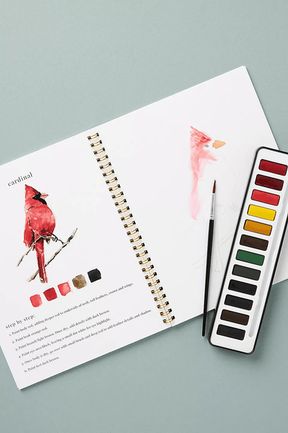 🔥Lente Korting🖼️ Aquarel Werkboek voor Nieuwe Kunstenaars
