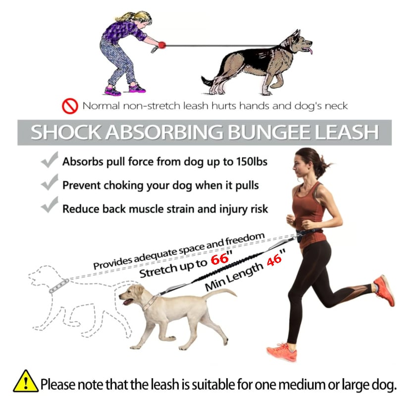 🎁Last Day 49% OFF🔥-Hands Free Dog Leash with Zipper Pouch
