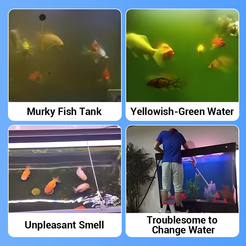 🐟Powerful Aquarium Water Purification Tablet