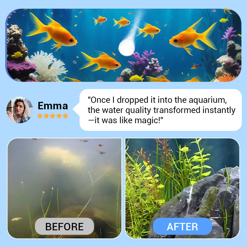 🐟Powerful Aquarium Water Purification Tablet