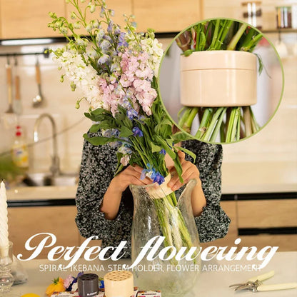🔥gardening promotion🌙spiral ikebana stem holder