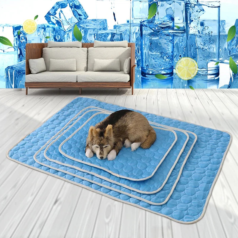 💥This Week's Special Offer 49% Off🧊Dog Cooling Mat (4x more effective)