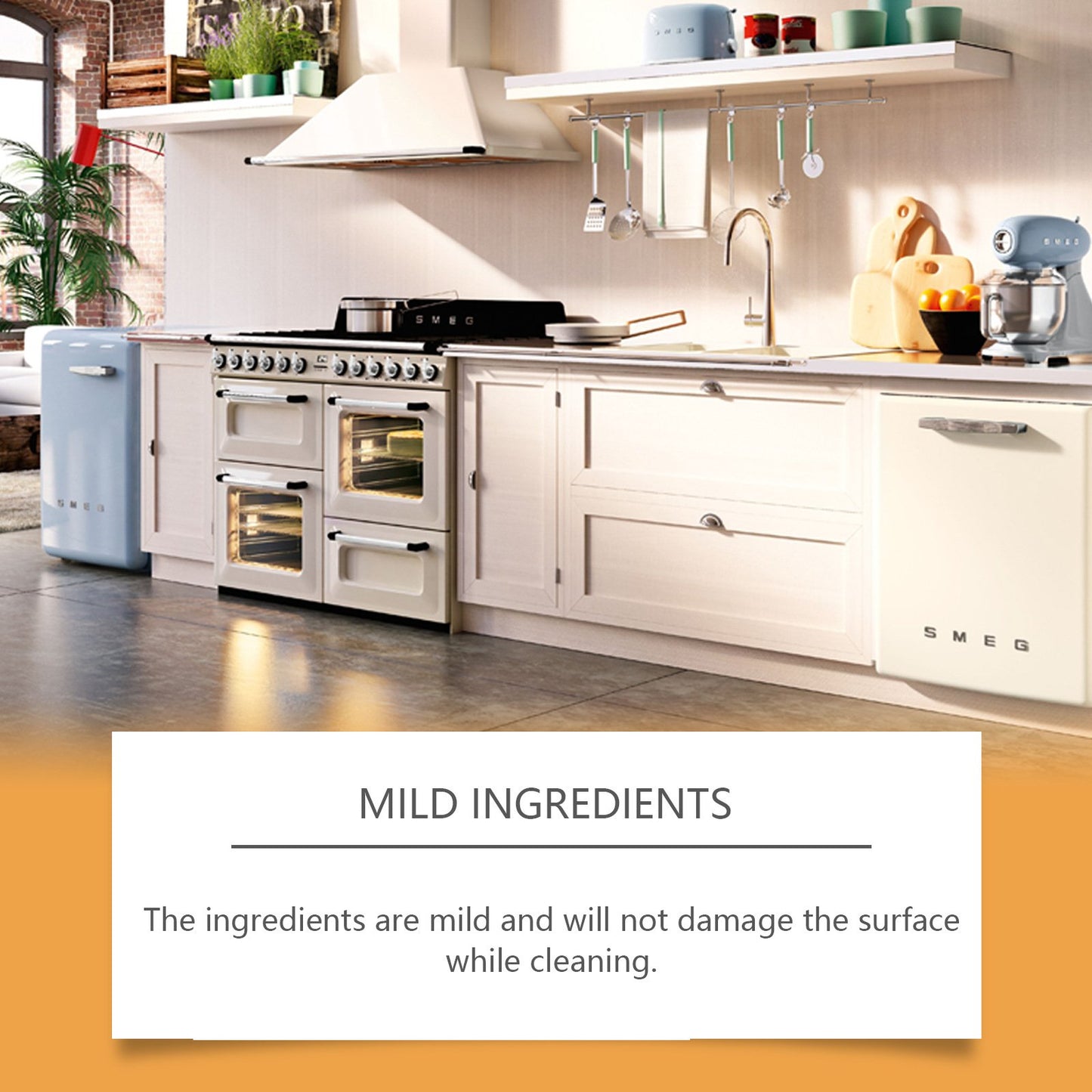 Mold Stain Remover Gel Cleaner