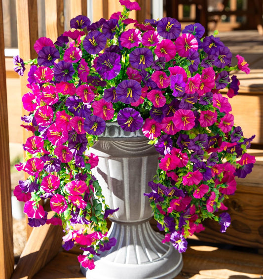🌺Buy 4 get 15% off🌺UV-resistant Hanging Morning Glory