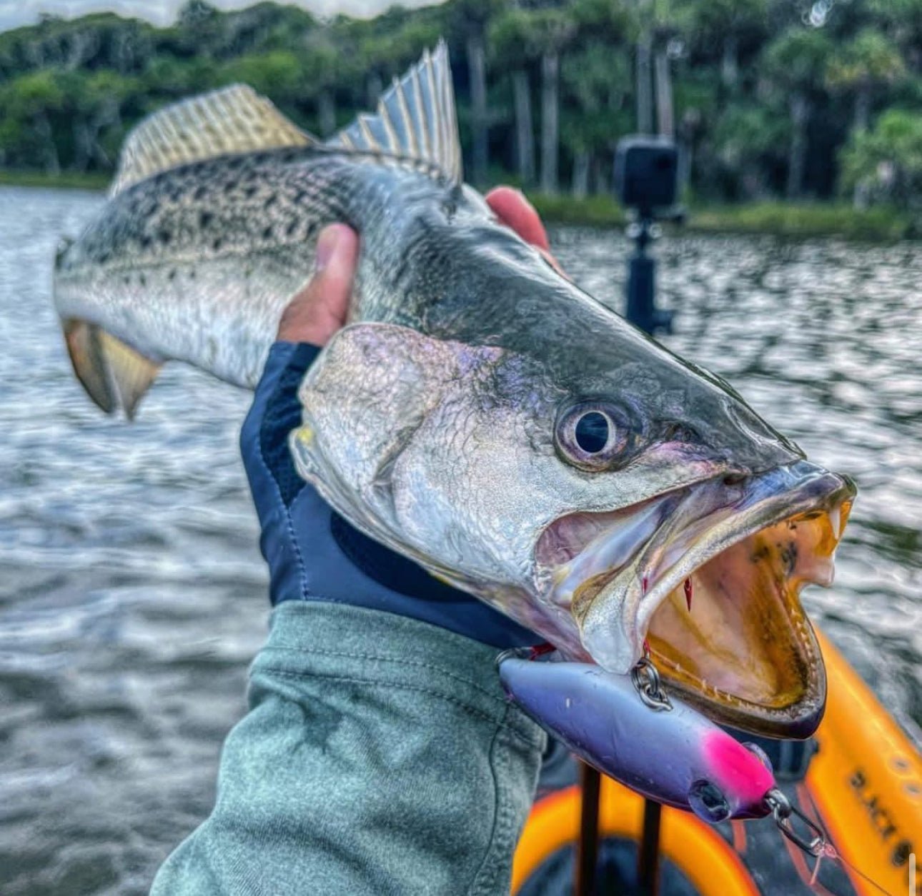 Topwater Speed Clips – Eenvoudig en Efficiënt Vissen