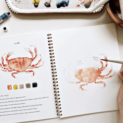 🔥Lente Korting🖼️ Aquarel Werkboek voor Nieuwe Kunstenaars