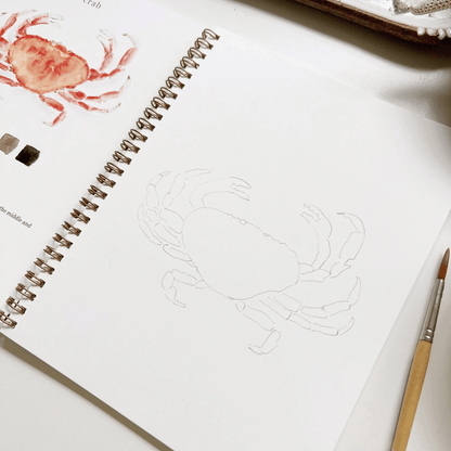 🔥Lente Korting🖼️ Aquarel Werkboek voor Nieuwe Kunstenaars