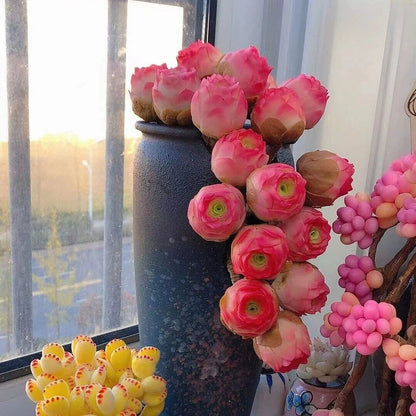 🌱🌹Mountain Rose: Beauty That Never Fades, Even for Newbie Blades!"🌺