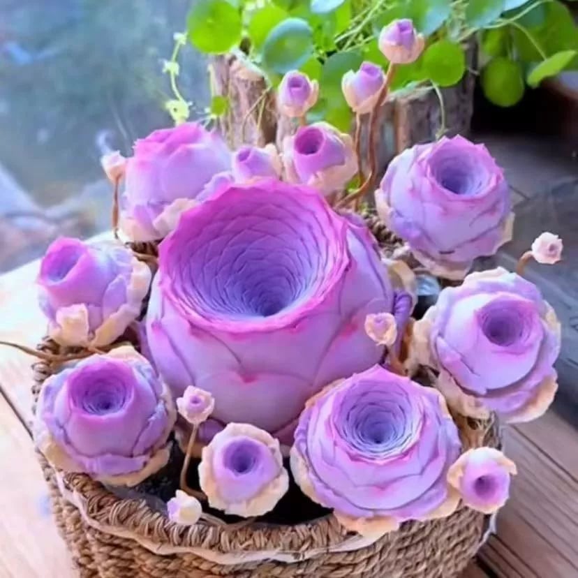 🌱🌹Mountain Rose: Beauty That Never Fades, Even for Newbie Blades!"🌺